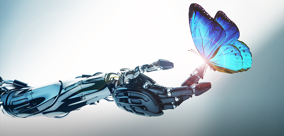 尊时凯时